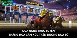 Đua Ngựa Trực Tuyến - Thăng Hoa Cảm Xúc Trên Đường Đua Số