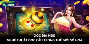 Xóc Đĩa MD5 - Nghệ Thuật Đọc Cầu Trong Thế Giới Số Hóa